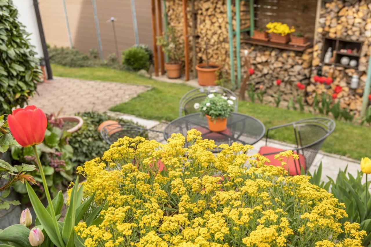 Haus Schneider Apartment Kressbronn am Bodensee Luaran gambar